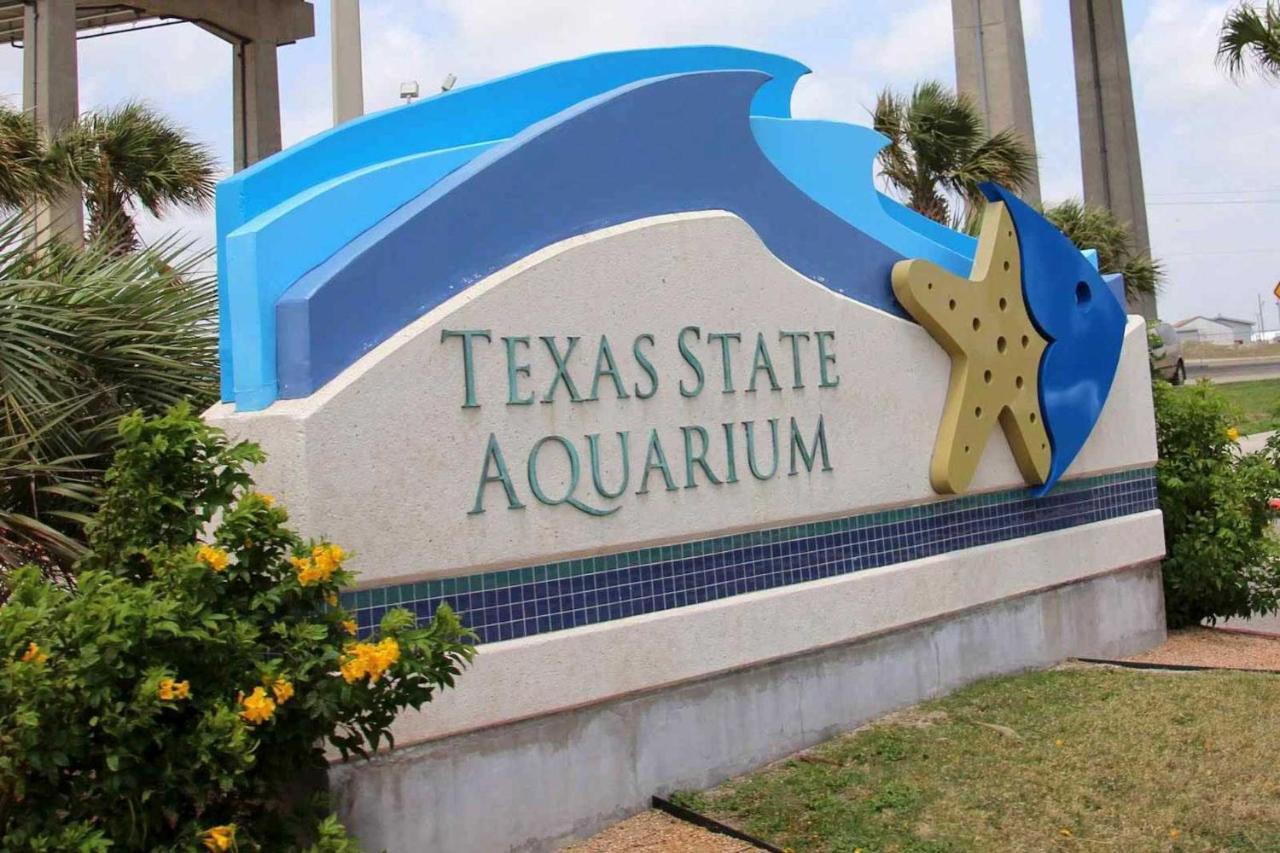 Corpus Christi Condo With Pool Access, Walk To Beach 외부 사진